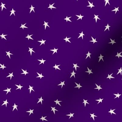 Tiny Prim Stars on Country Purple