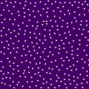 Tiny Prim Stars on Country Purple