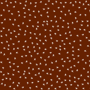 Tiny Prim Stars on Country Brown