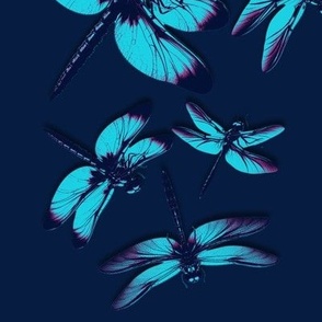 Turquoise Dragonflies