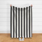 Timeless Sophisticated Vertical Stripes New Farmhouse Dorm Black White