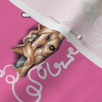 Yorkie Piccolo Pink