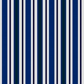 Country Prim Ticking Stripes in Navy