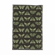 S Moths And Butterflies Rows On Linen Texture Dark Green Night small