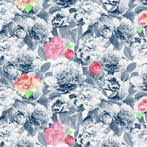 Peony Sweet Colorized Peony Navy