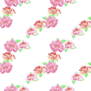 Peony Pastel Ribbon