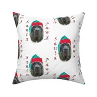 Neapolitan Mastiff Santa Paws