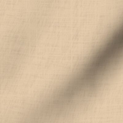 sand stone bleached buff colour warm white cream textured solid