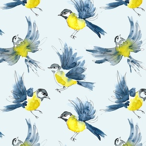 Blue tit birds