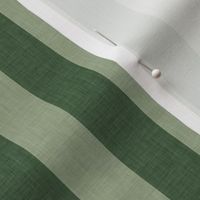 (small scale) Thin vertical stripes Clean lines dark forest green sage