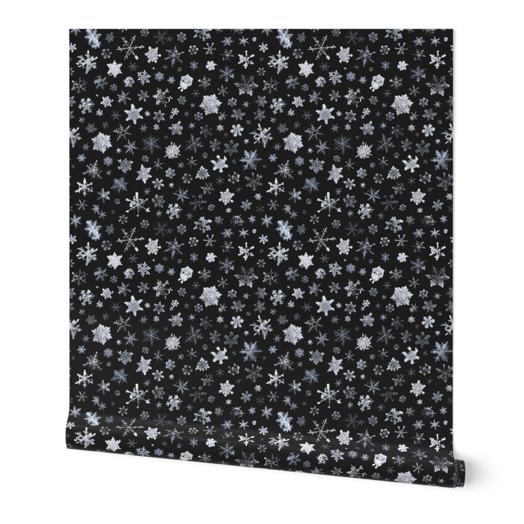 photographic snowflakes on charcoal (large snowflakes)