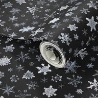 photographic snowflakes on charcoal (large snowflakes)