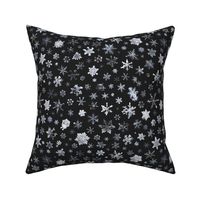 photographic snowflakes on charcoal (large snowflakes)