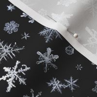 photographic snowflakes on charcoal (large snowflakes)