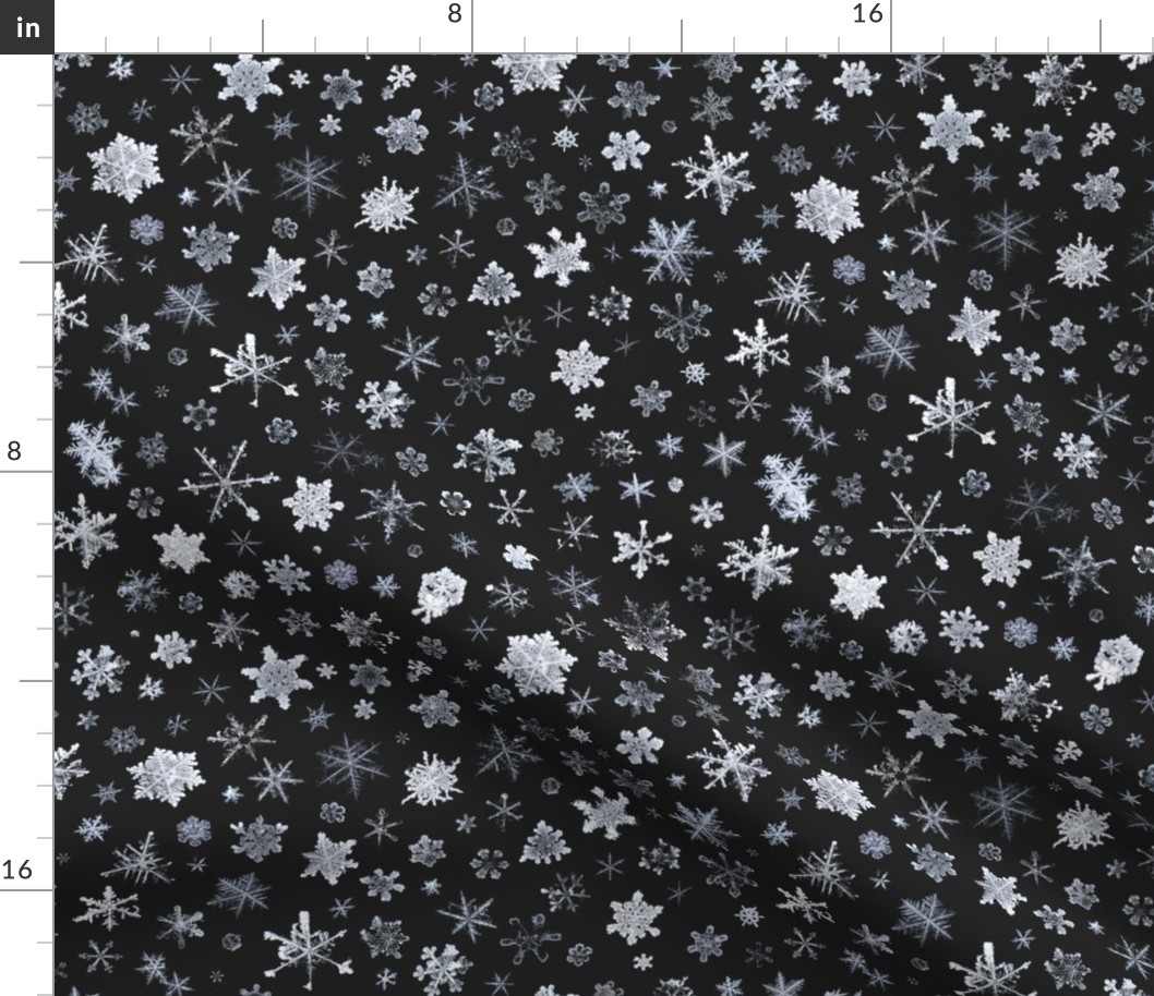 photographic snowflakes on charcoal (large snowflakes)