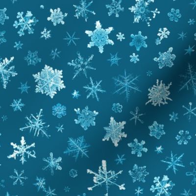 photographic snowflakes on cyan (large snowflakes)