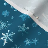 photographic snowflakes on cyan (large snowflakes)