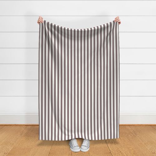 Timeless Ticking Stripe Cinnamon Slate & White