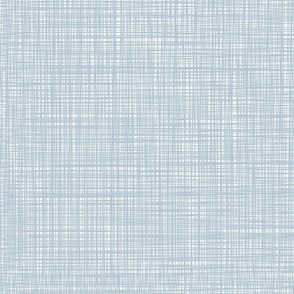 Pale Grey Blue Linen Weave