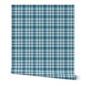 XXS Classic Blue and Green Plaid Pattern