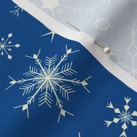 Angular Snowflake - Scatter - Blue True Autumn 1