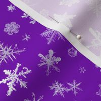 photographic snowflakes on regal purple (large snowflakes)