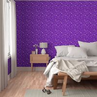 photographic snowflakes on regal purple (large snowflakes)