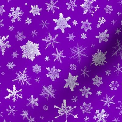 photographic snowflakes on regal purple (large snowflakes)