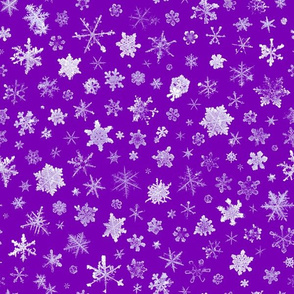 photographic snowflakes on regal purple (large snowflakes)