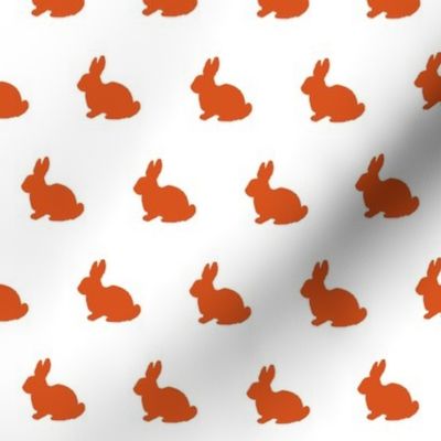 rabbit rabbits bunny bunnies orange