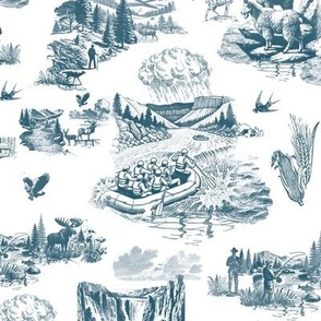 Idaho Toile de Jouy Pattern