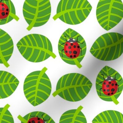 ladybugs kawaii - red ladybugs,  light green leaves, white background
