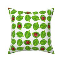 ladybugs kawaii - red ladybugs,  light green leaves, white background