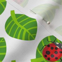 ladybugs kawaii - red ladybugs,  light green leaves, white background