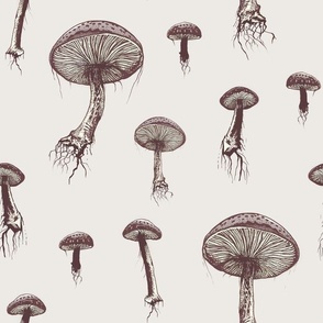 Poisonous Mushrooms In The Enchanted Forest