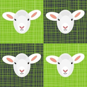 Lambs on Green Grass