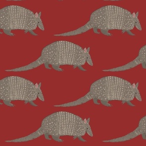 Southwestern Armadillos on a Red Background