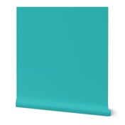 turquoise solid