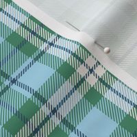 XXS Timeless Blue and Green Checkered Plaid