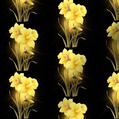 Golden Daffodils 