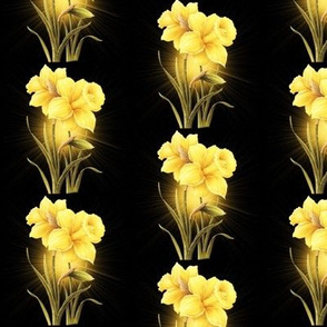 Golden Daffodils 