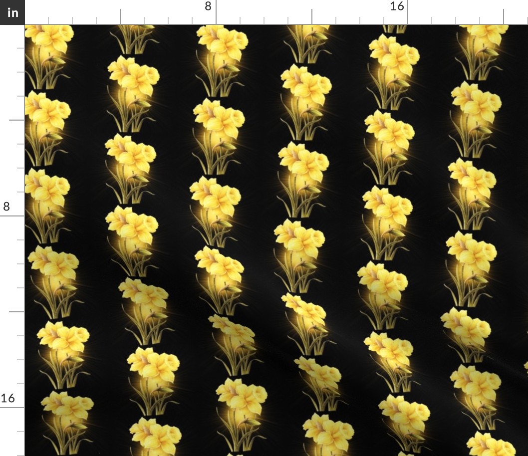 Golden Daffodils 