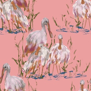 Coastal Birds - Pink Spoonbills