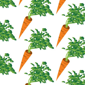 carrots