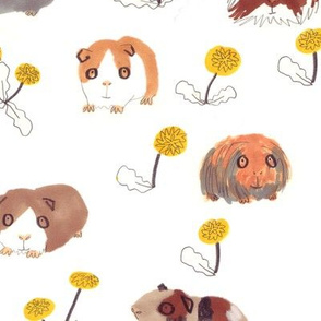 Guinea Pigs and Dandelions