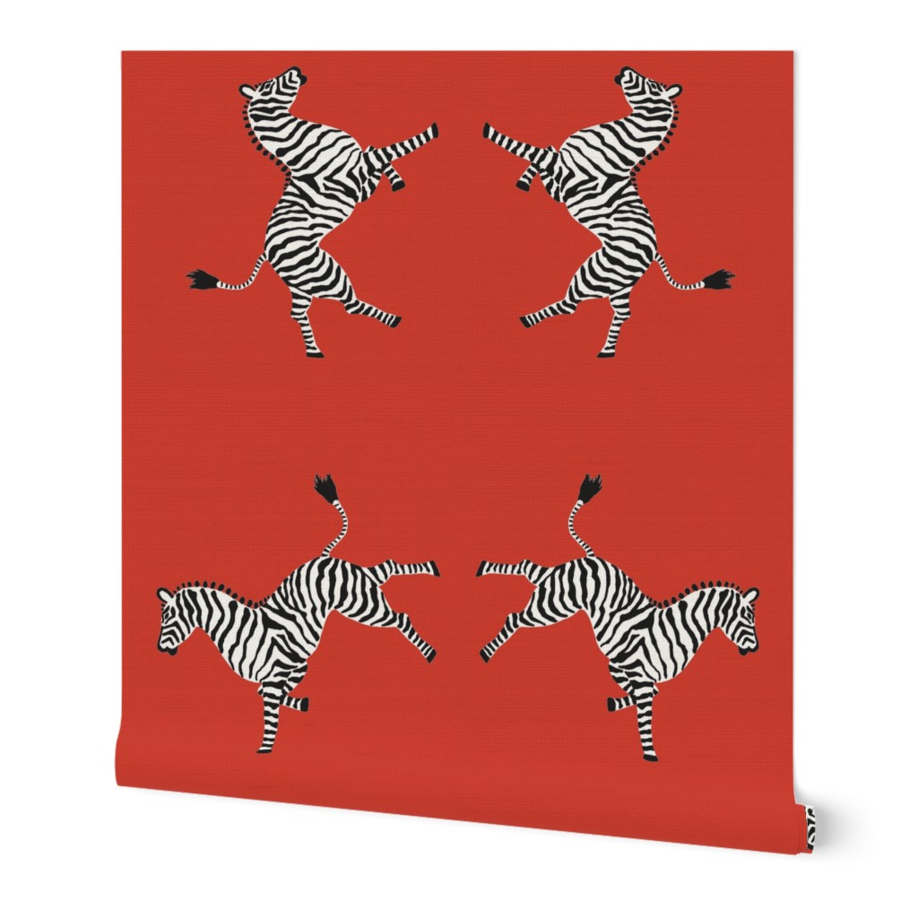 Zebra_High5_red