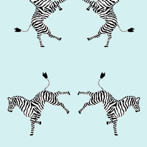 zebra_hi5_aqua