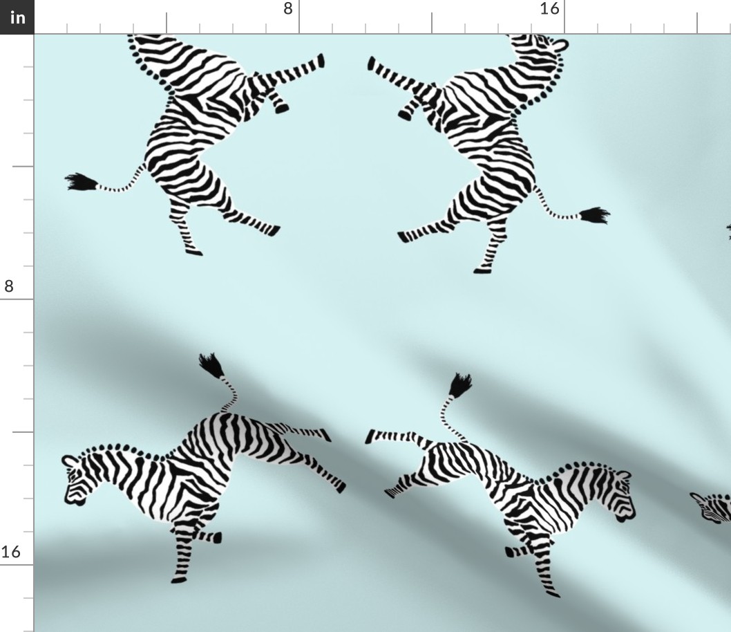 zebra_hi5_aqua