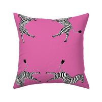 Zebra_high5_pink