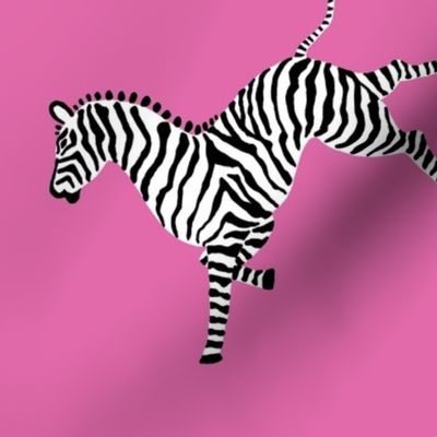 Zebra_high5_pink